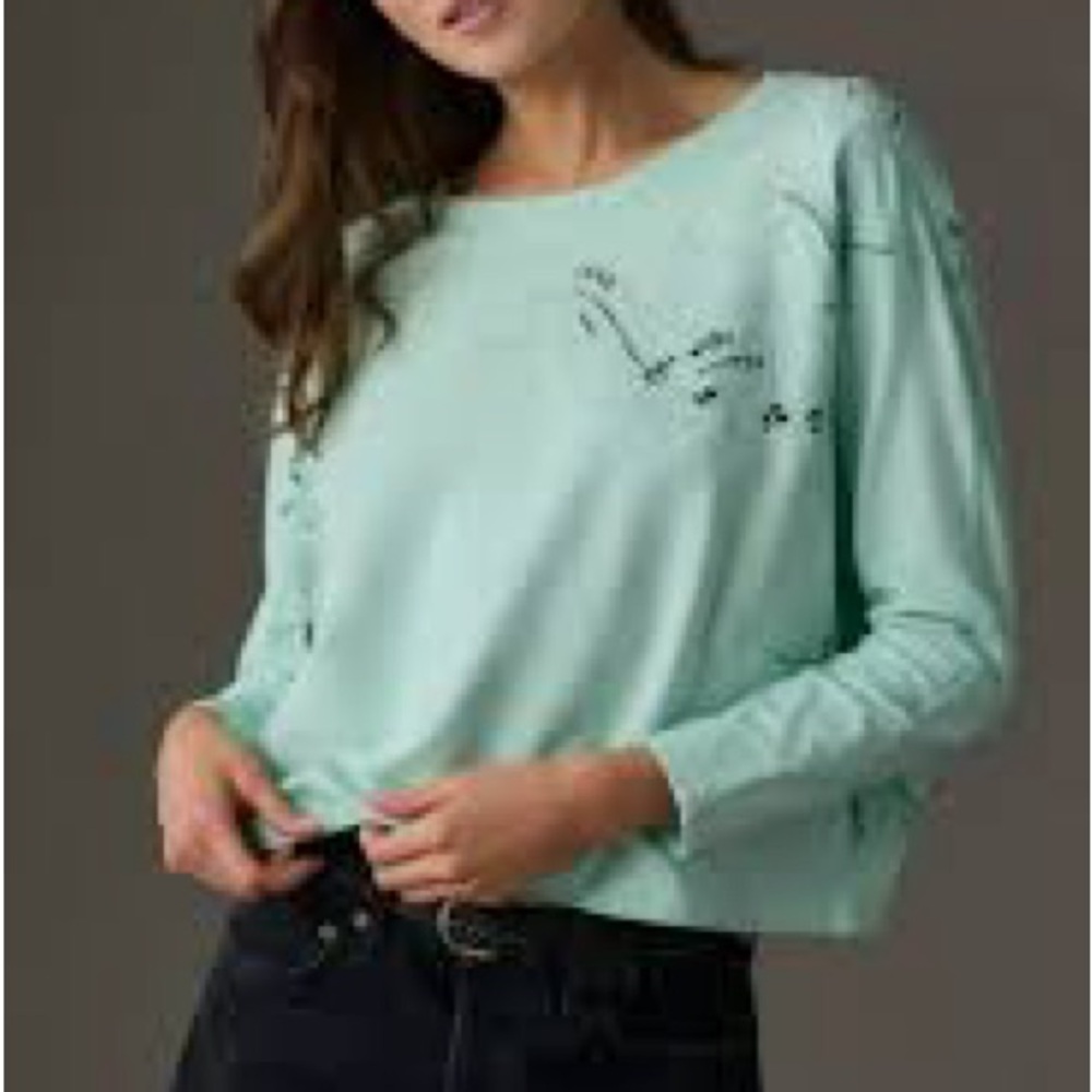 Mint Green Anthropologie Embroidered Sweatshirt - Picture 2 of 6